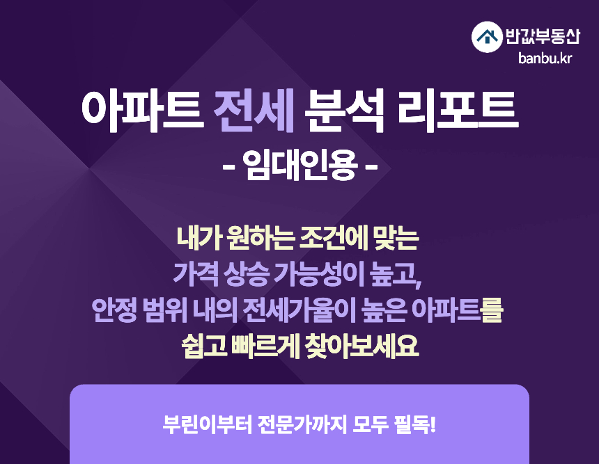 아파트 전세 분석 리포트 (임대인용)