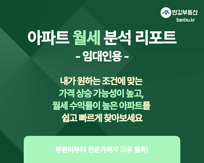 아파트 월세 분석 리포트 (임대인용)