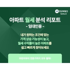 아파트 월세 분석 리포트 (임대인용)